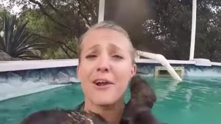 Otters Start to Swim