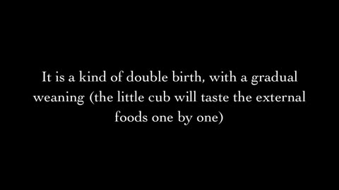 Varg Vikernes/Marie Cachet - How to celebrate Candlemas/Imbolc?