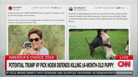 CNN's Jim Acosta, Maria Cardona Tie Noem Dog Killing Story To Trump VP Race