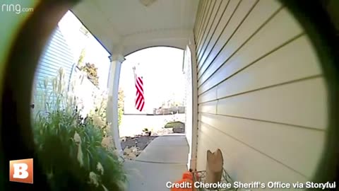 DING DONG DITCH! Deer Sneaks Up to Doorbell Camera, Then Bolts Away