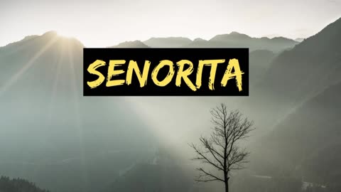 Señorita- Shawn Mendes & Camila Cabello (Audio Track)