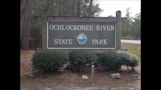 The day trip to Ochlockonee River State Park