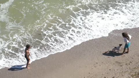 Play with Dog in the Beach