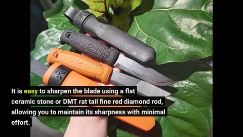 Honest Feedback: Morakniv Kansbol Fixed Blade Knife with Sandvik Stainless Steel Blade