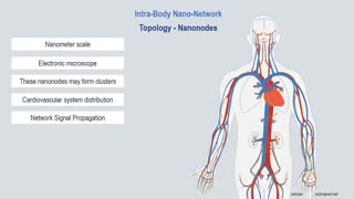 Intra-body nano-network - Part 2 of 5 - Graphene quantum dots / Nanonodes
