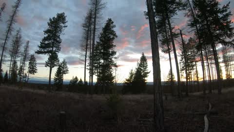 Whitefish Time Lapse