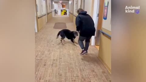 Dog escapes shelter, sneaks into nursing home so residents adopt him | Animalkind #goodnews