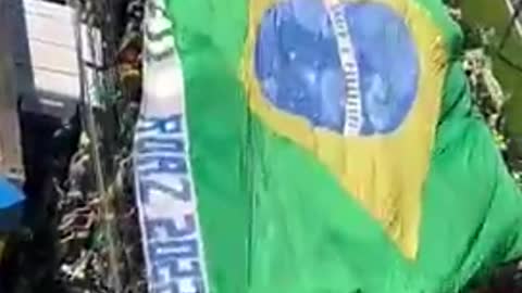 BRAZILIANS DO NOT RECOGNIZE RESULT OF THE ELECTIONS. PEOPLE DEMAND MILITARY INTERVENTION.