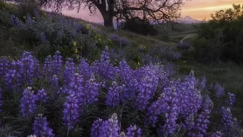 From the Washington coast to Southern Oregon,