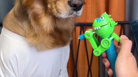 Dog: Just because I'm grumpy doesn't mean I can't bite