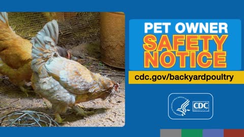 Pet Owner Safety Notice: Backyard Poultry