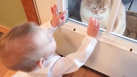 Get ready to ROFL with these adorable cats and babies Try Not to Laugh Challenge