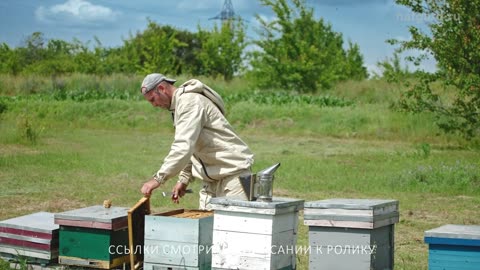 Продукты здорового питания цены, купить А также широкий ассортимент товаров из микросфер.