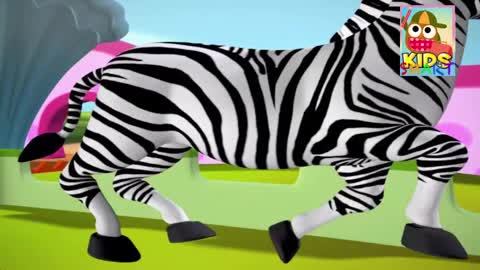 Zebra in the Zoo | Rhymes Nursery