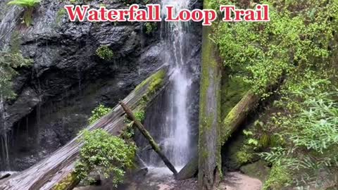 Russian Gulch Waterfall Loop Trail