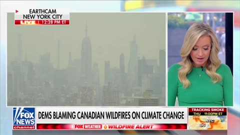 Kevin O'Leary, Kayleigh McEnany Rip Kamala Harris For Blaming Canadian Wildfire On Climate Change