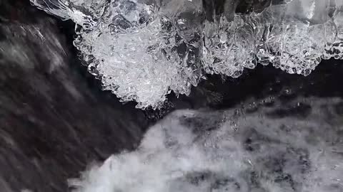 Free Flowing Stream Footage