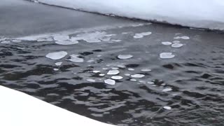 Ice Pancakes