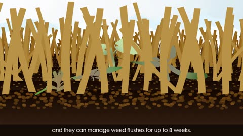 How do soil active herbicides work?