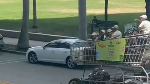 Large shopping cart