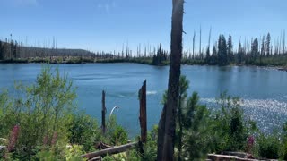 Central Oregon - Mount Jefferson Wilderness - The Sparkles are almost Blinding