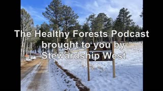 The Healthy Forests Podcast