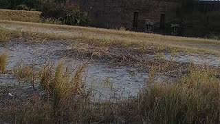 Ft. Clinch state park