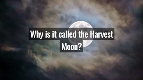 Harvest moon hits the skies this week