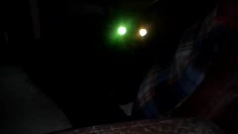 Salem the Talking cat has nightvision googles on