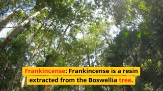 Frankincense