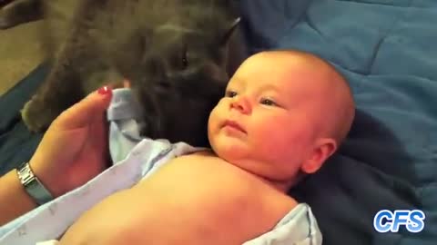 Cat love babies