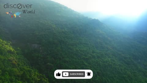 Amazon rainforest HD video @ discover world