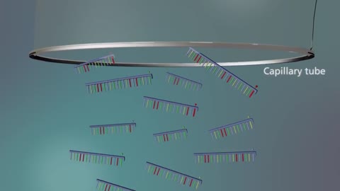 DNA Sequencing - 3D