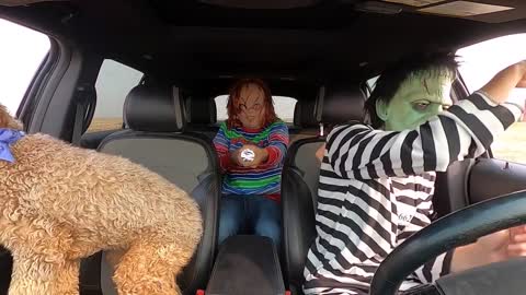 Chucky Surprises T-Rex & Puppies with Dancing Car Ride!