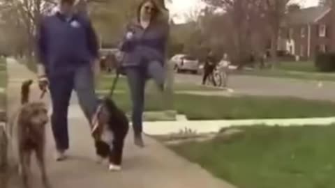 Foreign funny video The American family set up a fool walking area in front of the door