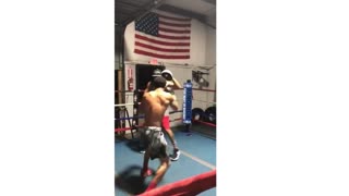 #Boxing Punches# Jab #Straight Left/Right #Uppercut #Swing #Counterpunch