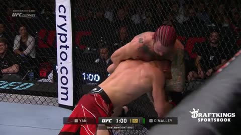 Sean O'Malley Vs Petr Yan | Free fight | UFC292