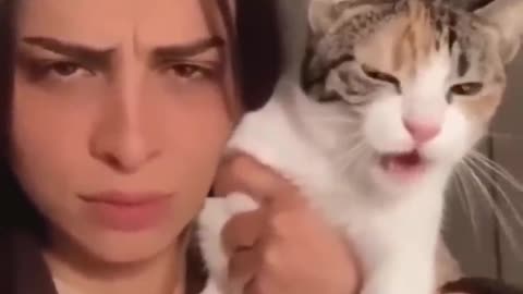 Trending funny cats 😹😹