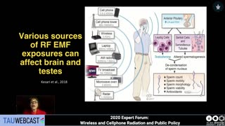 5G, Wireless Radiation and Health: A Scientific and Policy Update Presentation by Dr. Devra Davis