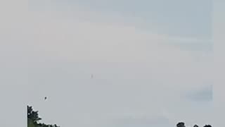 Bald Eagle aggressively chasing the osprey