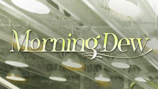 Arknights OST - Morning Dew