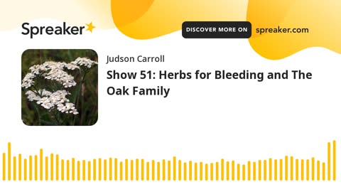 Show 51: Herbs for Bleeding and The Oak Family