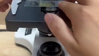 Egg under microscope 🔬🔬