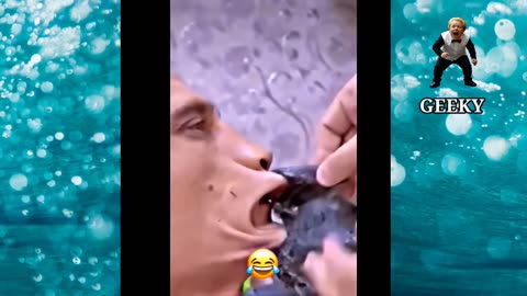 "Hilarious Fun! 😂 Try Not to Laugh Challenge with Best Funny Videos 😆"