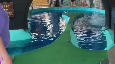 Could you sink this putt_