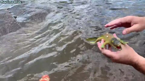 Sea animal toys this summer at the shore