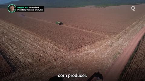 Brazil Forecasts Record Corn and Soybean Harvest