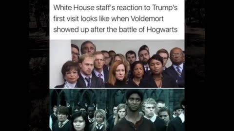 Only Harry Potter Fans Will Find It Funny /Funny Memes Only True Fans Will Find It Funny