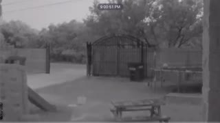 Doorbell Camera Catches Deer Running into Gate Pole