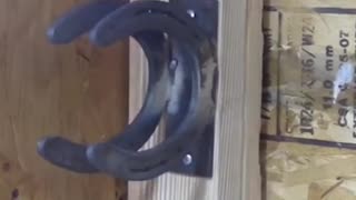I had a couple of horseshoes laying around and decided to make a hammer hanger.